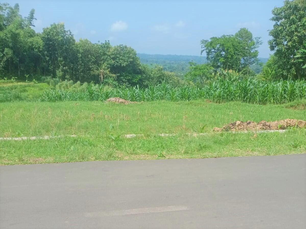 Tanah Subur 1370m&sup2; Cocok Untuk Kebun Karanganyar 