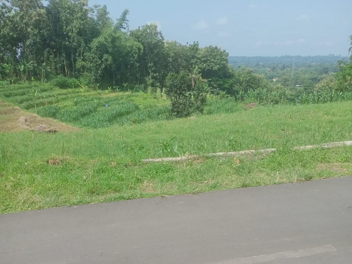 Tanah Subur 1370m&sup2; Cocok Untuk Kebun Karanganyar 