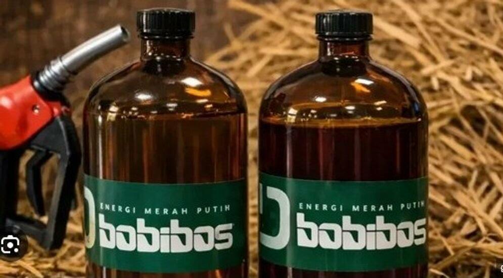 Bobibos Pilih Produksi di Timor Leste, Ini Alasannya
