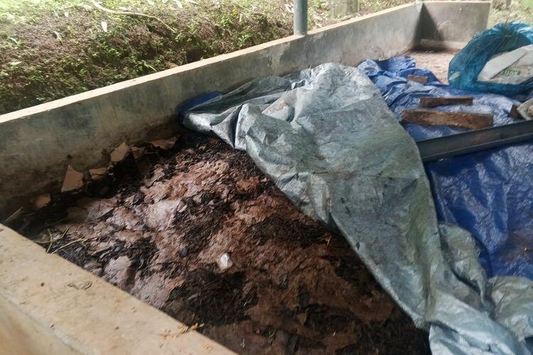 Dari Kebun Manggis ke Supermarket Eropa, Ini Keunggulan Indonesia Ketimbang Tetangga
