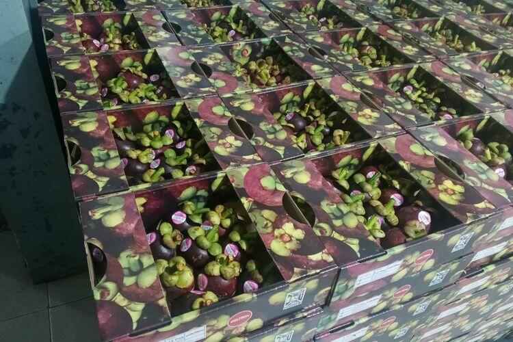 Dari Kebun Manggis ke Supermarket Eropa, Ini Keunggulan Indonesia Ketimbang Tetangga
