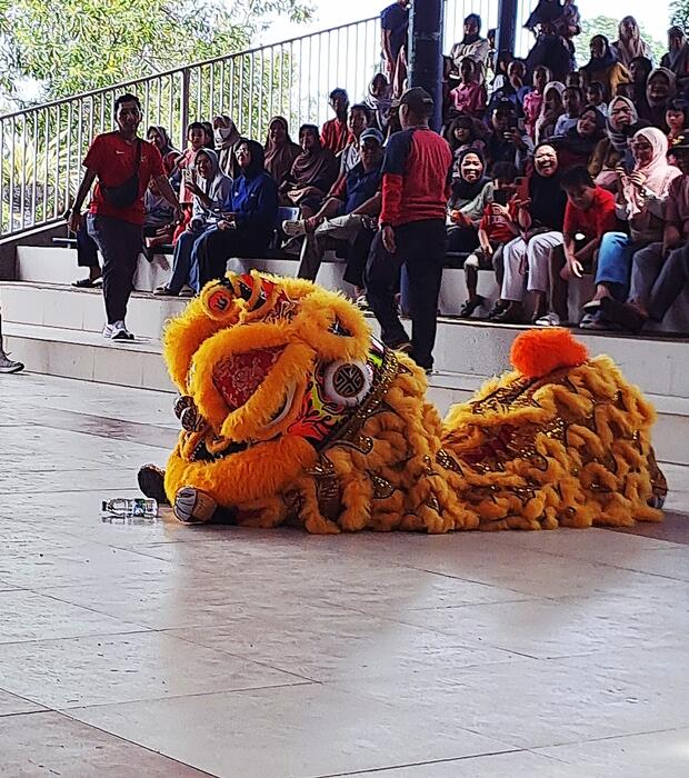 Barongsai Liong Depok Raya