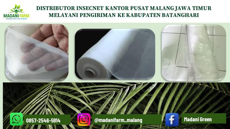 Kesempatan Emas !!! Pabrik Pusat Agen Grosir Jual Insecnet di Kab Batanghari 