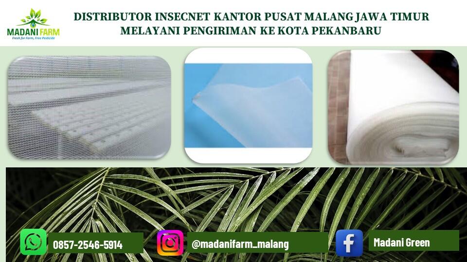 Kesempatan Emas !!! Pabrik Pusat Agen Grosir Jual Insecnet di Kota Pekanbaru 