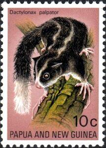 Hewan-hewan Mamalia Khas Indonesia yang Jarang Orang Tahu!! PART IV