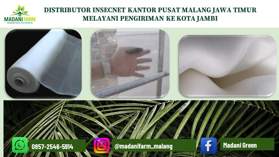 Diskon Hebat !!! Pabrik Pusat Agen Grosir Jual Insecnet di Kota Jambi 