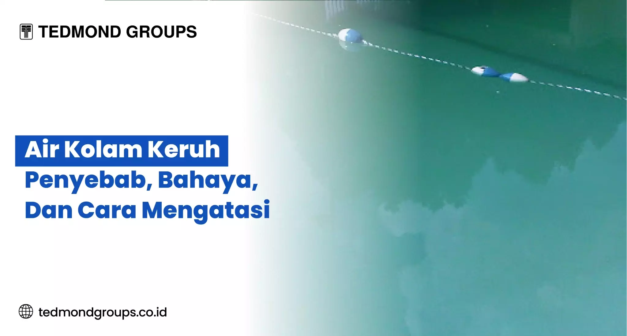 Air Kolam Keruh: Penyebab, Bahaya dan Cara Mengatasi