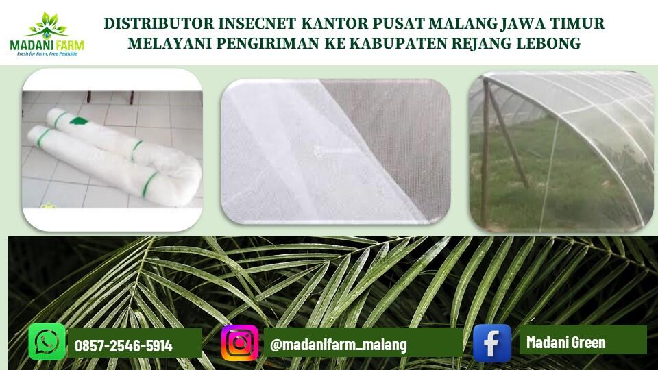 Kesempatan Emas !!! Pabrik Pusat Agen Grosir Jual Insecnet di Kab Rejang Lebong 