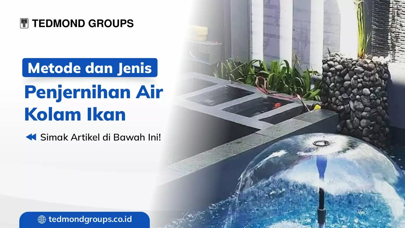 Metode dan Jenis Penjernihan Air Kolam Ikan