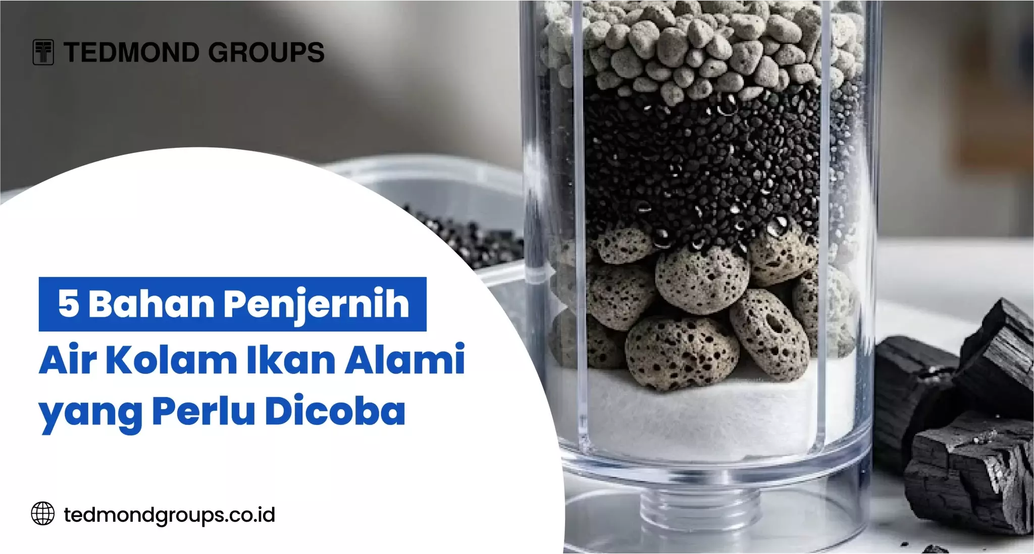 5 Bahan Penjernih Air Kolam Ikan Alami yang Perlu Dicoba