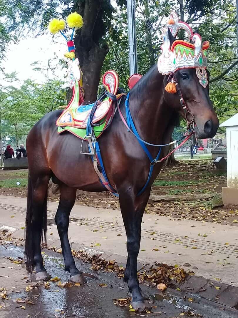Kuda Renggong Kota Bandung