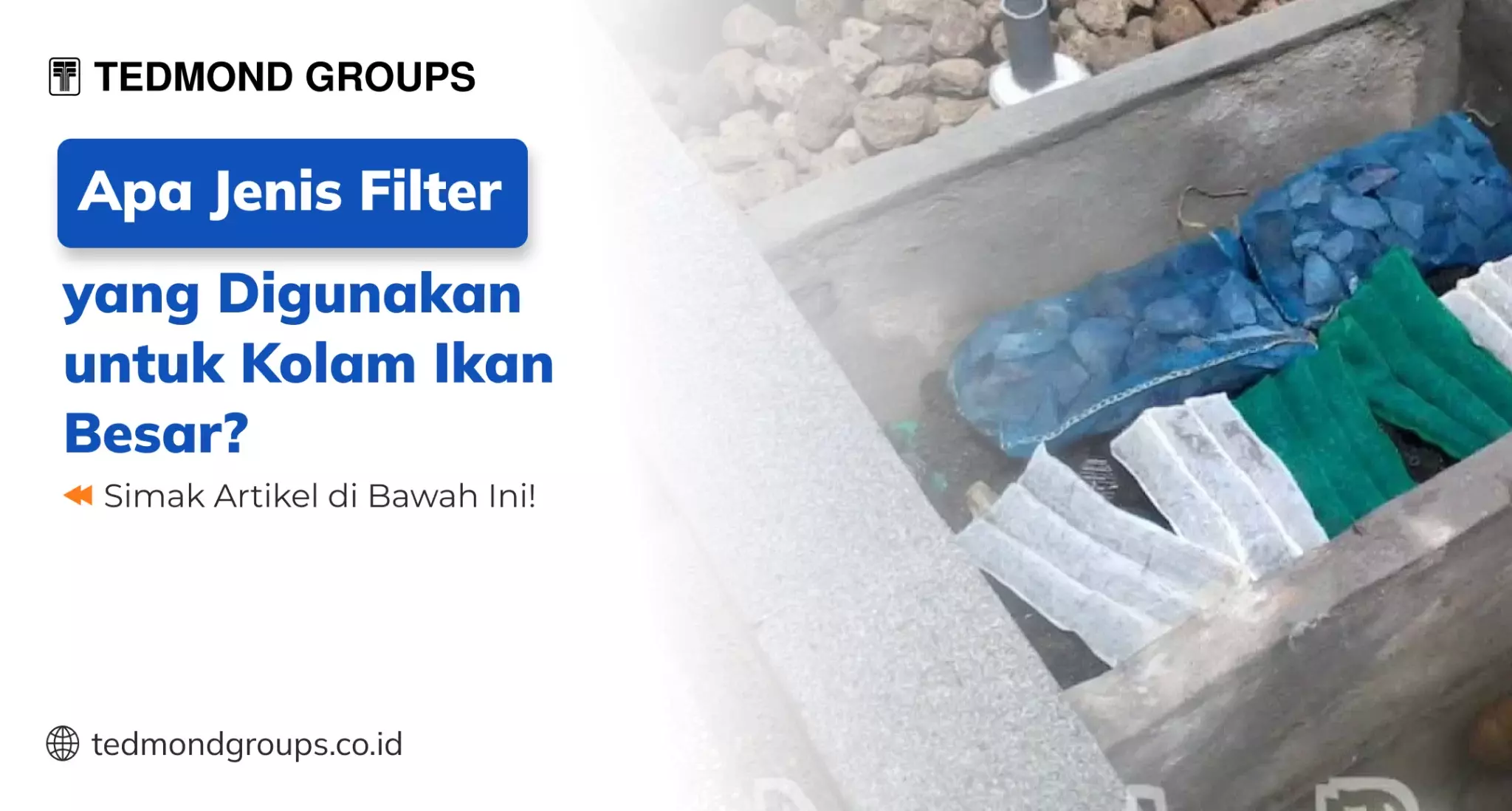 Apa Jenis Filter yang Digunakan untuk Kolam Ikan Besar?