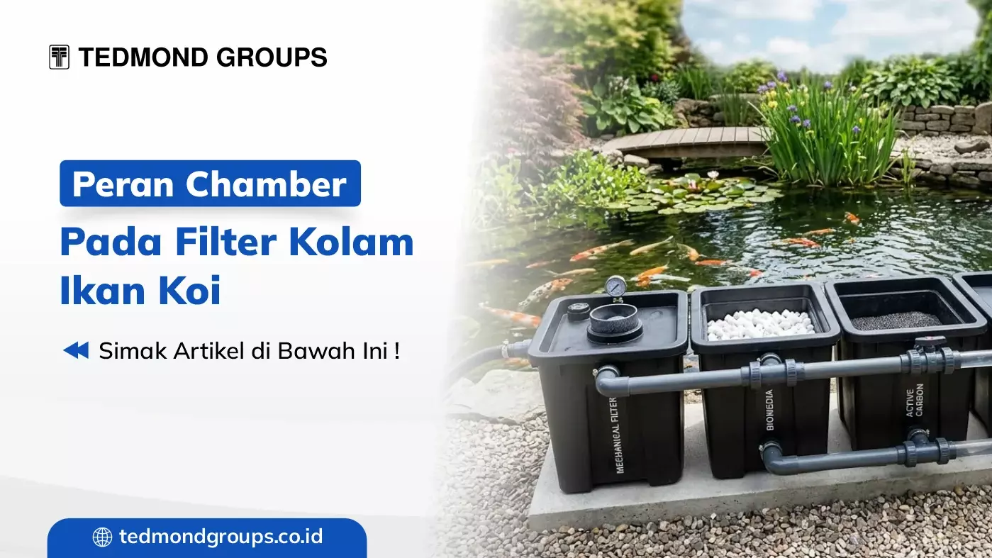Peran Chamber pada Filter Kolam Ikan Koi