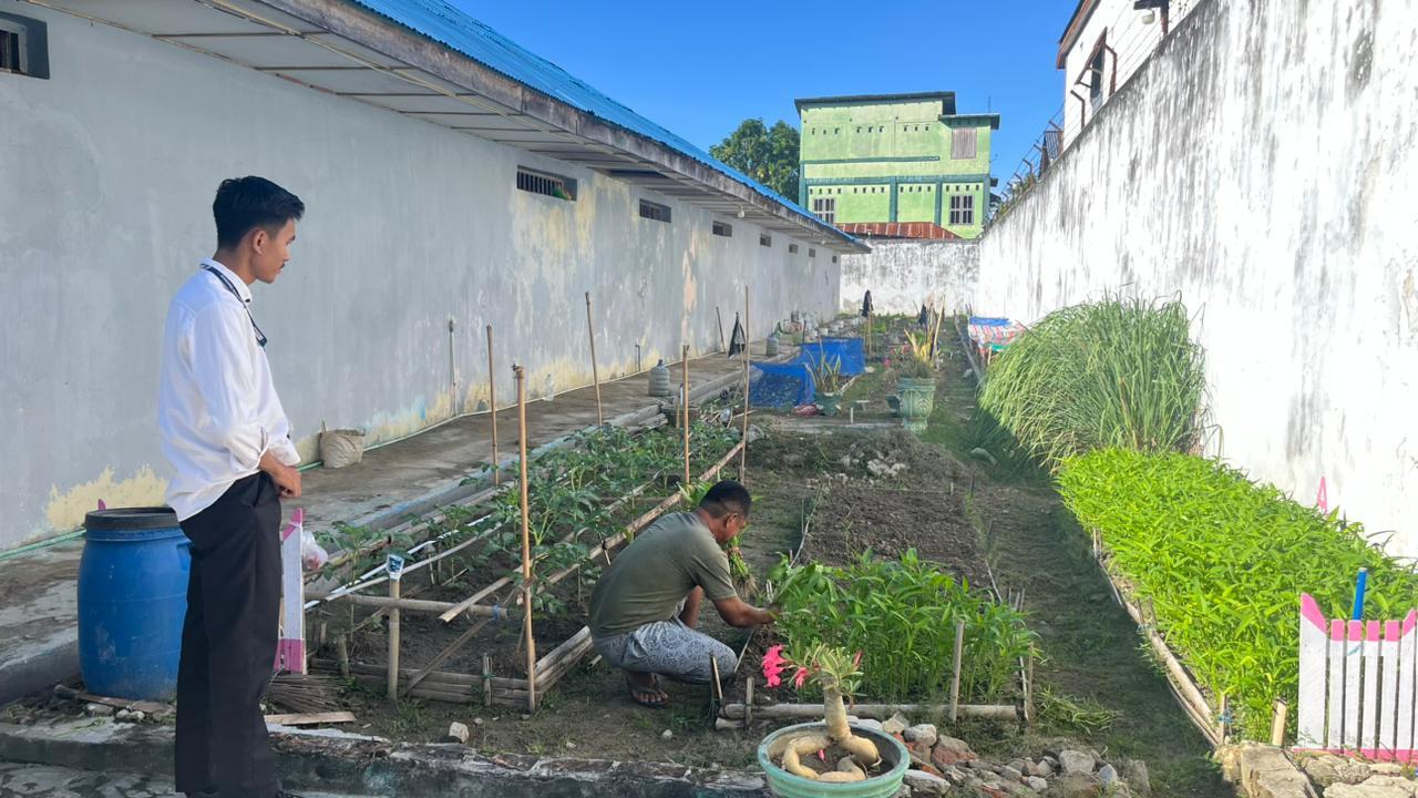 Produktif dan Mandiri, Rutan Majene Sukses Panen Kangkung 10 Kg