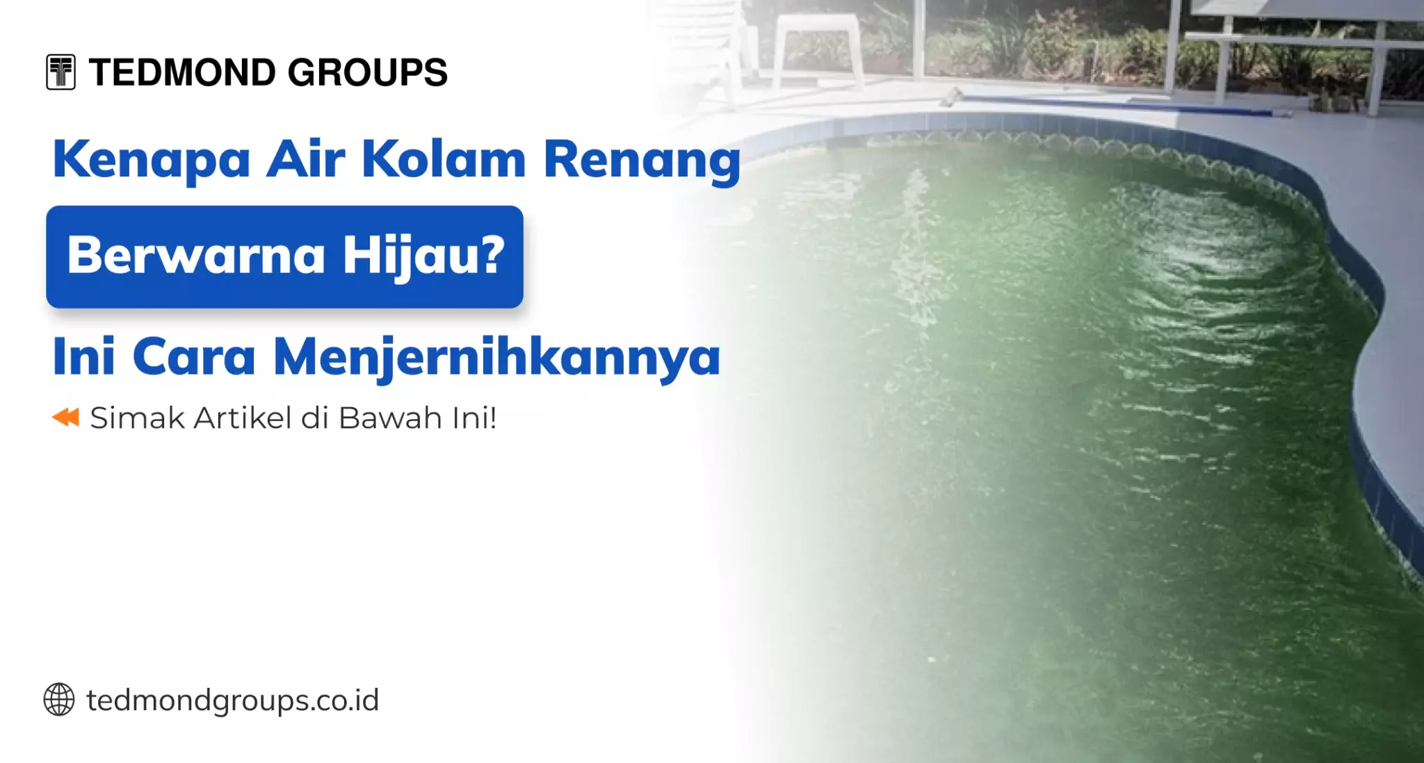 Kenapa Air Kolam Renang Berwarna Hijau? Ini Cara Menjernihkannya