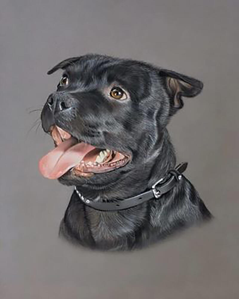 Black Dog Portrait