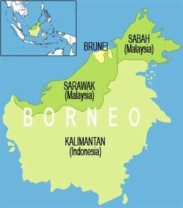 Kenapa Kalimantan Dinilai Aman Dari Gempa Bumi?