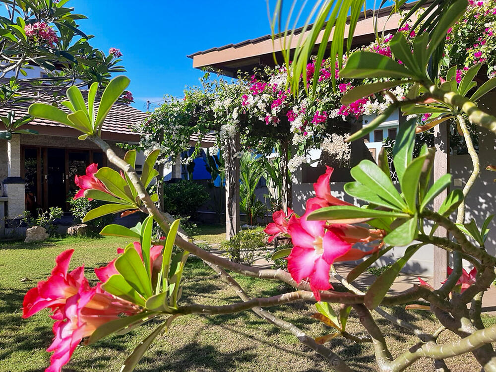 Villa Dijual di Labuan Bajo Dekat Tempat Wisata Goa Batu Cermin, Bukit Sylvia Hill