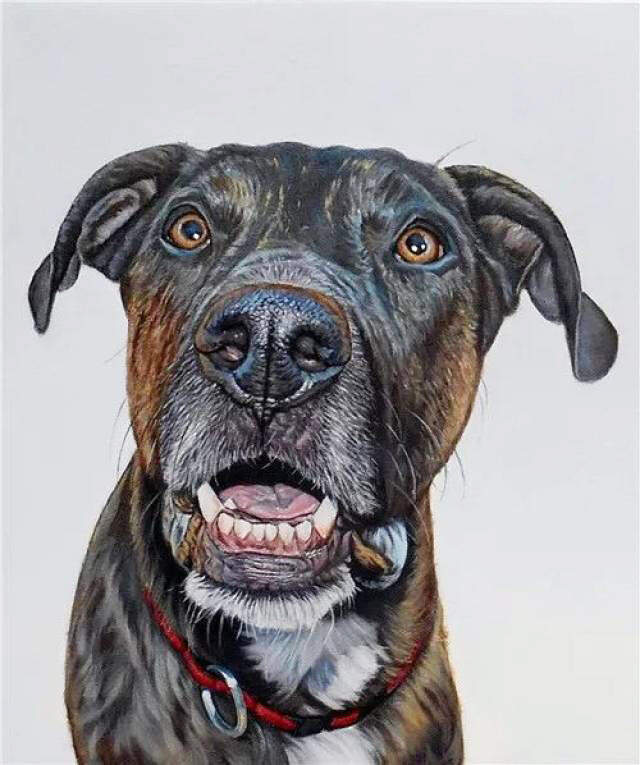 This is a very vivid and realistic oil painting of a dog:
