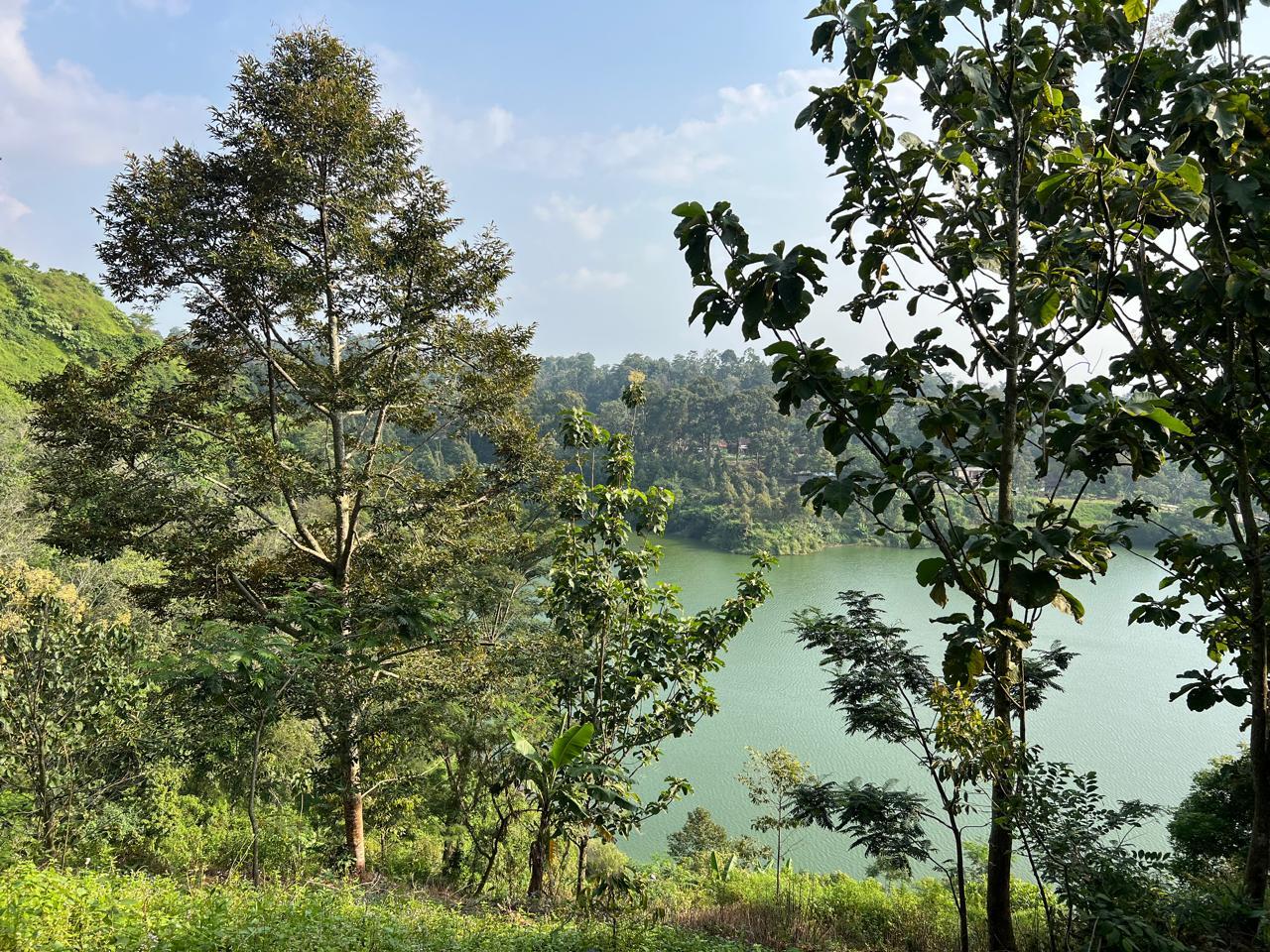 Kebun Durian 4800m&sup2; Kawasan Wisata Karanganyar 