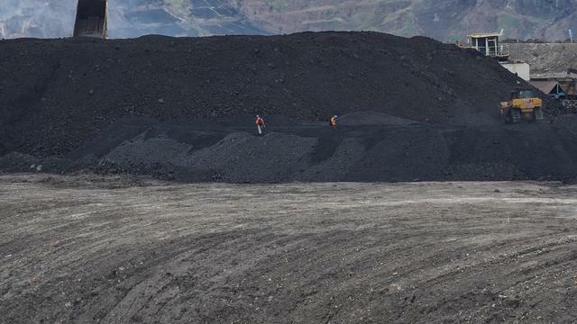 143 Miliar Ton Batu Bara Jadi Modal Indonesia Jaga Ketahanan Energi