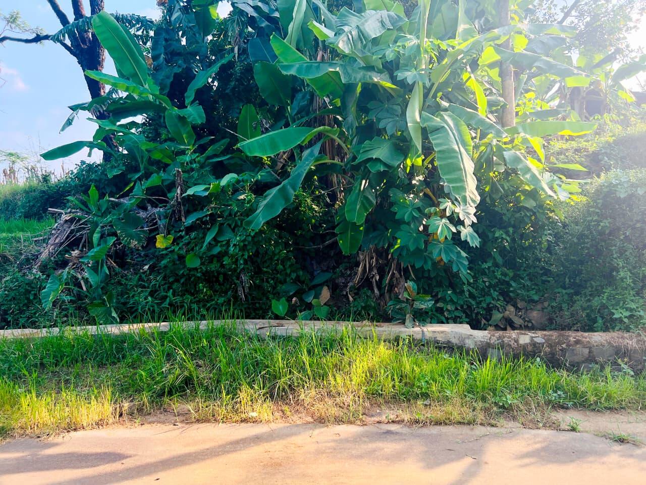 Tanah 150 Juta Cocok Bangun Rumah Karanganyar 