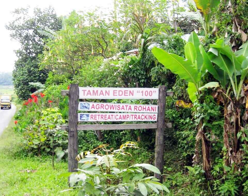 Taman Eden 100: Surga Ekowisata dan Paru-Paru Hijau di Tepian Danau Toba