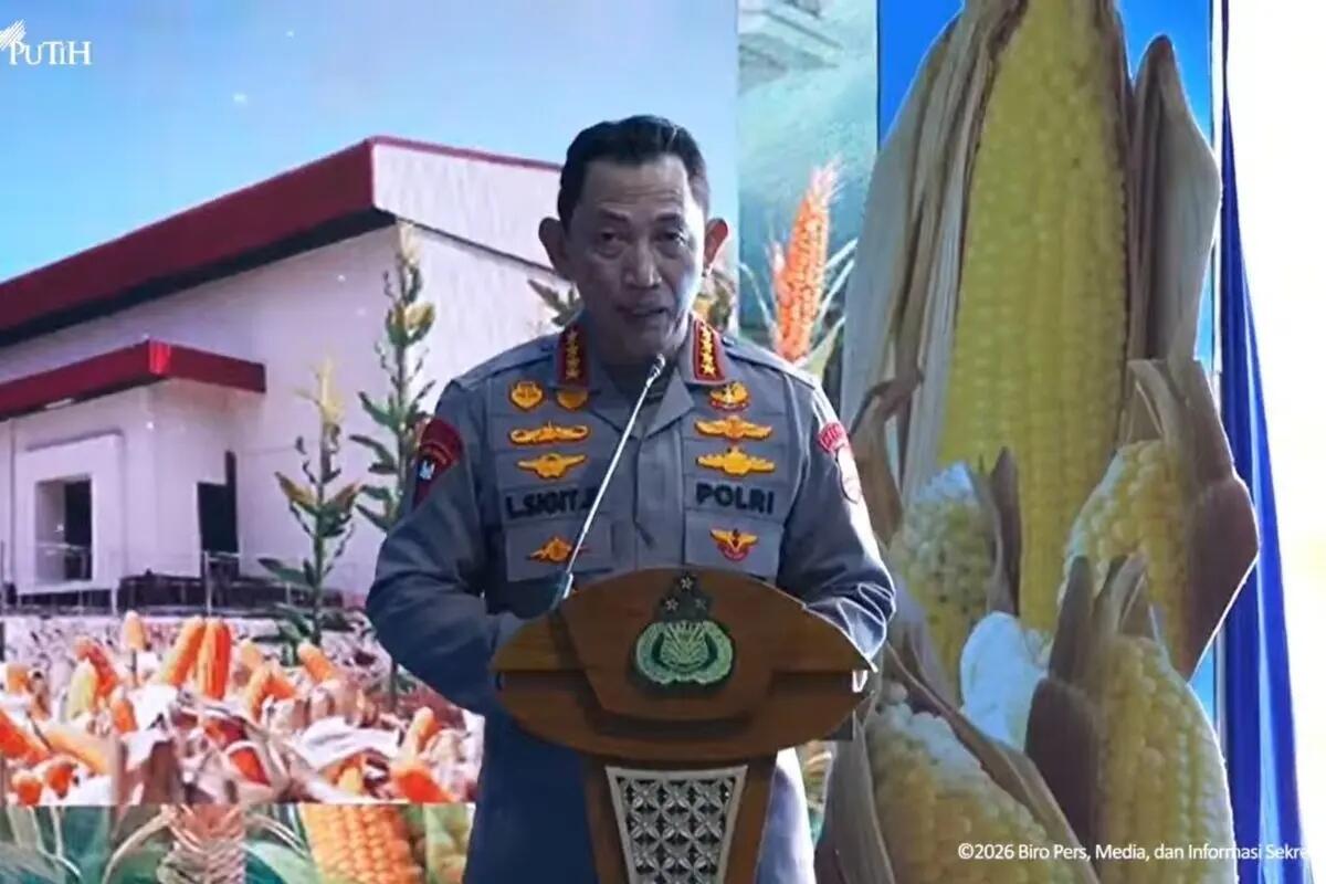 Polri Sukses Panen Jutaan Ton Jagung, Siap Ekspor ke Malaysia