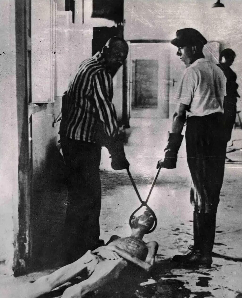 Polling Postingan Disturbing Picture
