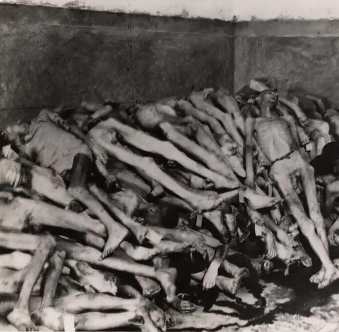 Polling Postingan Disturbing Picture