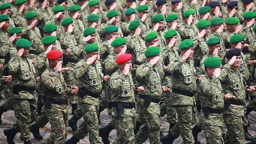 Menhan Ungkap Tugas Baru TNI: AD Tanam Jagung-Padi, AL Kedelai