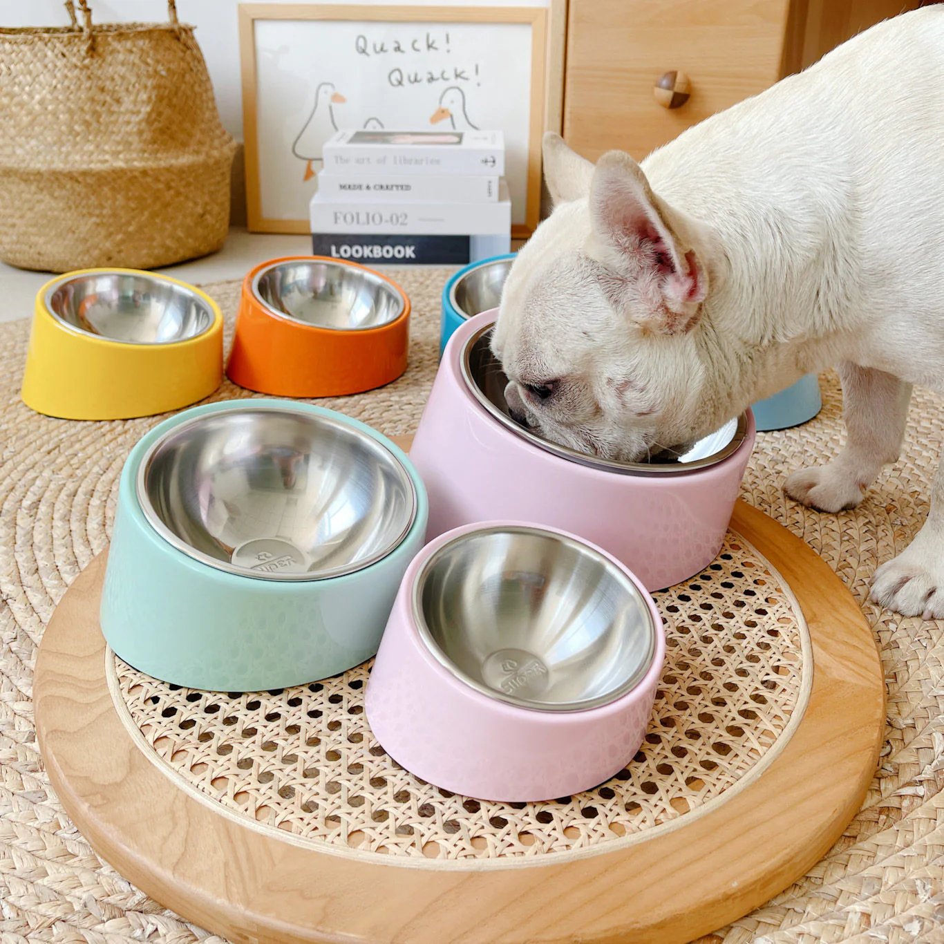Are Stainless Steel Bowls the Best Durable Option for Large Breeds?