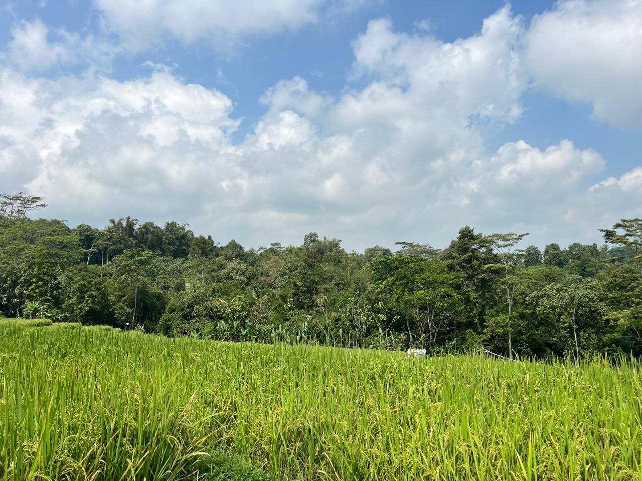 Tanah 1600m&sup2; Barat Pasar Karangpandan