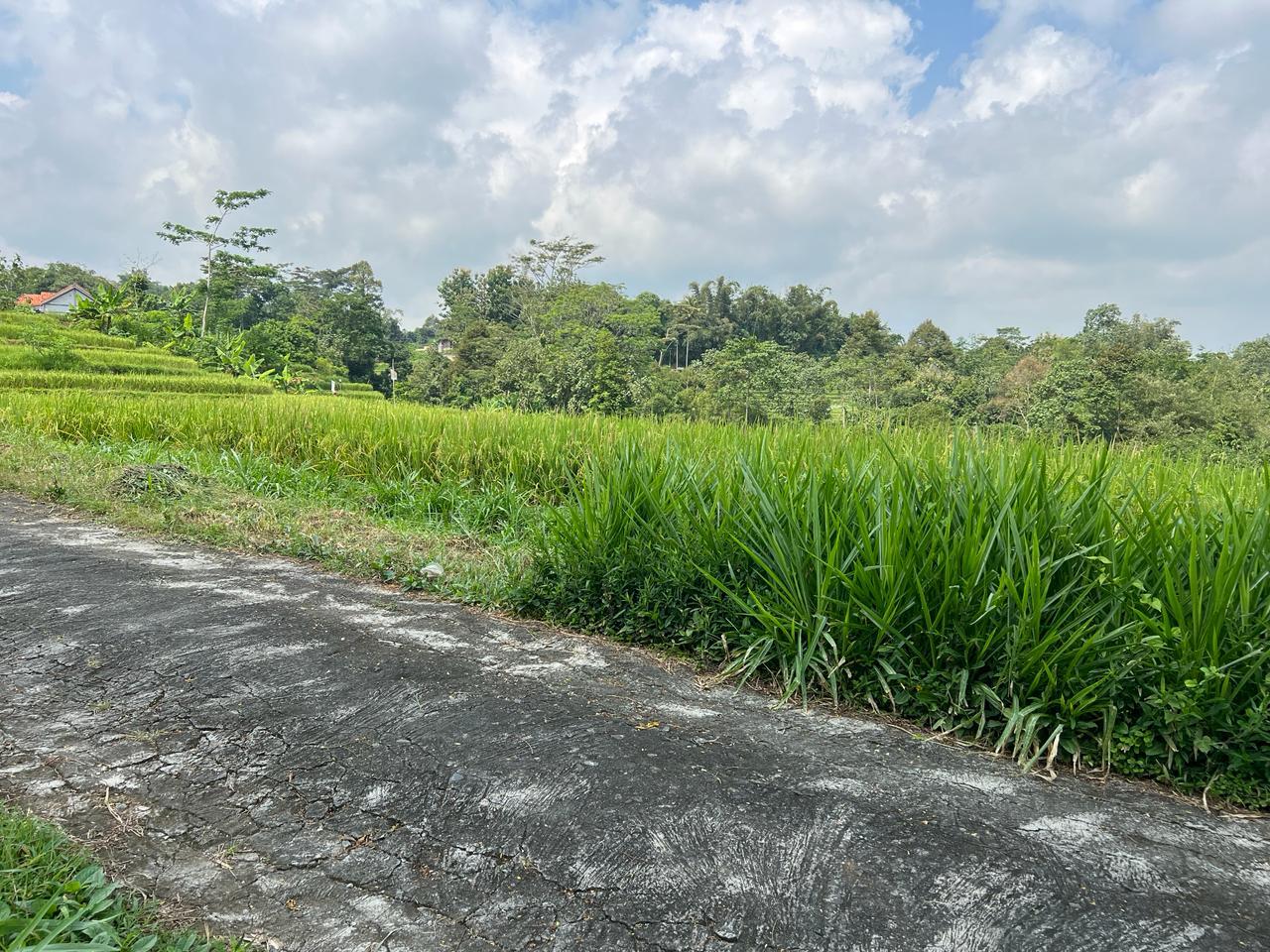 Tanah 1600m&sup2; Barat Pasar Karangpandan