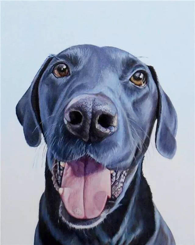 A vivid and expressive portrait of a dog