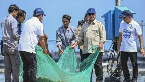 Usai Jagung dan Beras, Prabowo Targetkan RI Swasembada Daging