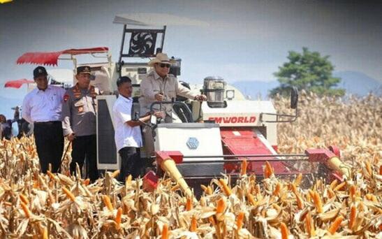 Impor Pangan Pokok RI Kini Hanya 4-5 Persen, Produksi Dalam Negeri 96%