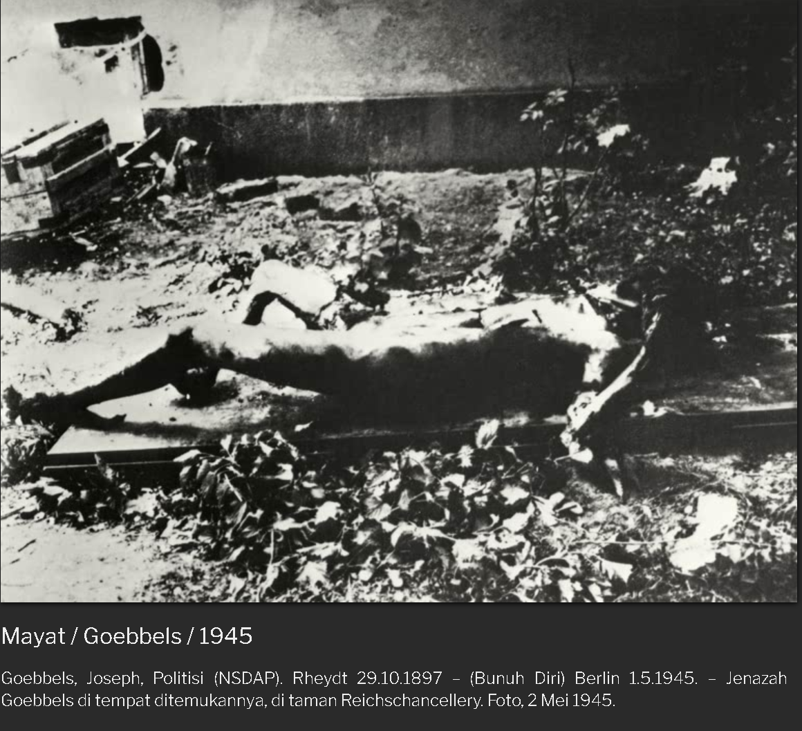[History] Kematian Pimpinan Nazi (Heinrich Himmler, Hermann G&ouml;ring , Joseph Goebbels)