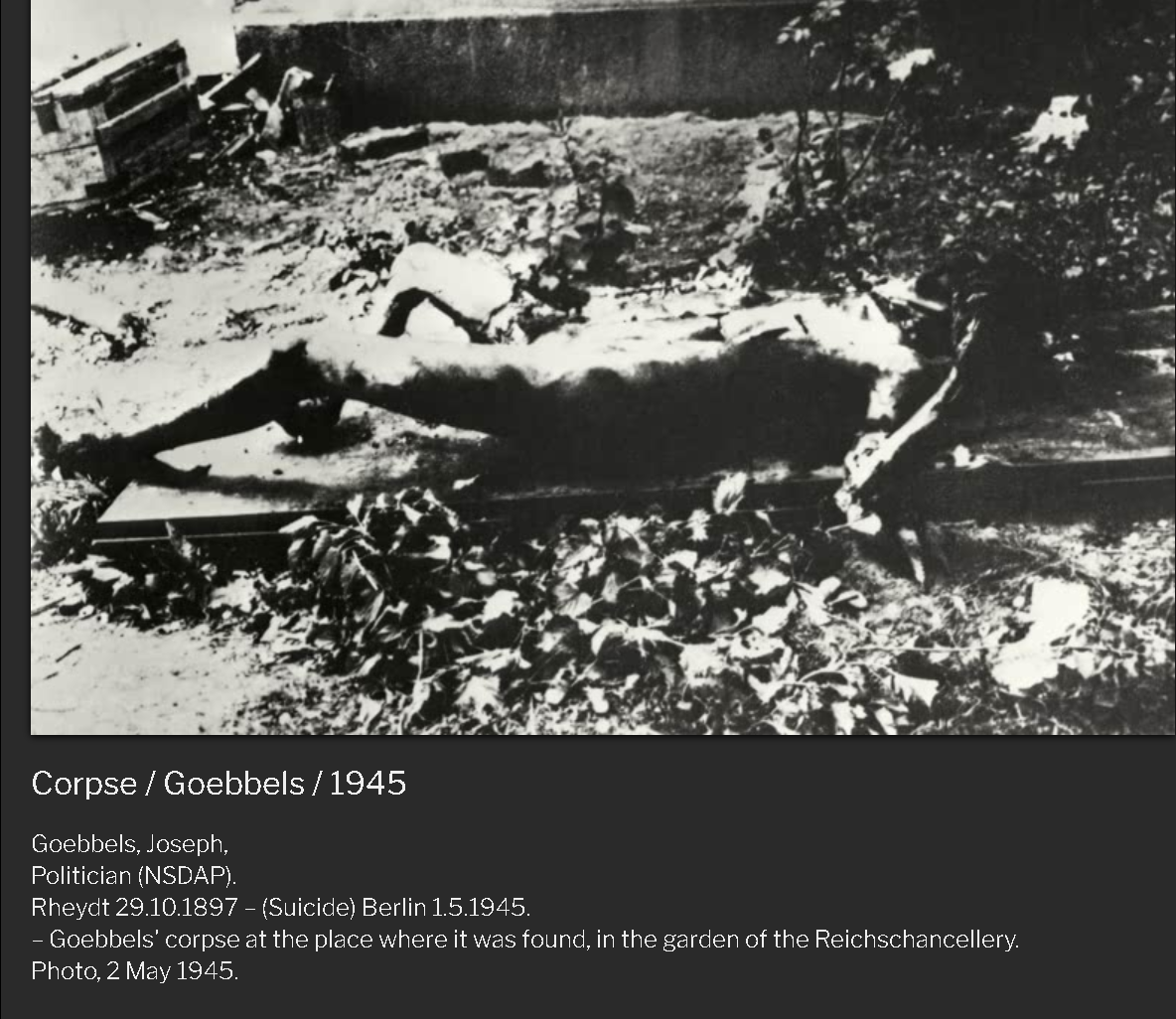 [History] Kematian Pimpinan Nazi (Heinrich Himmler, Hermann G&ouml;ring , Joseph Goebbels)