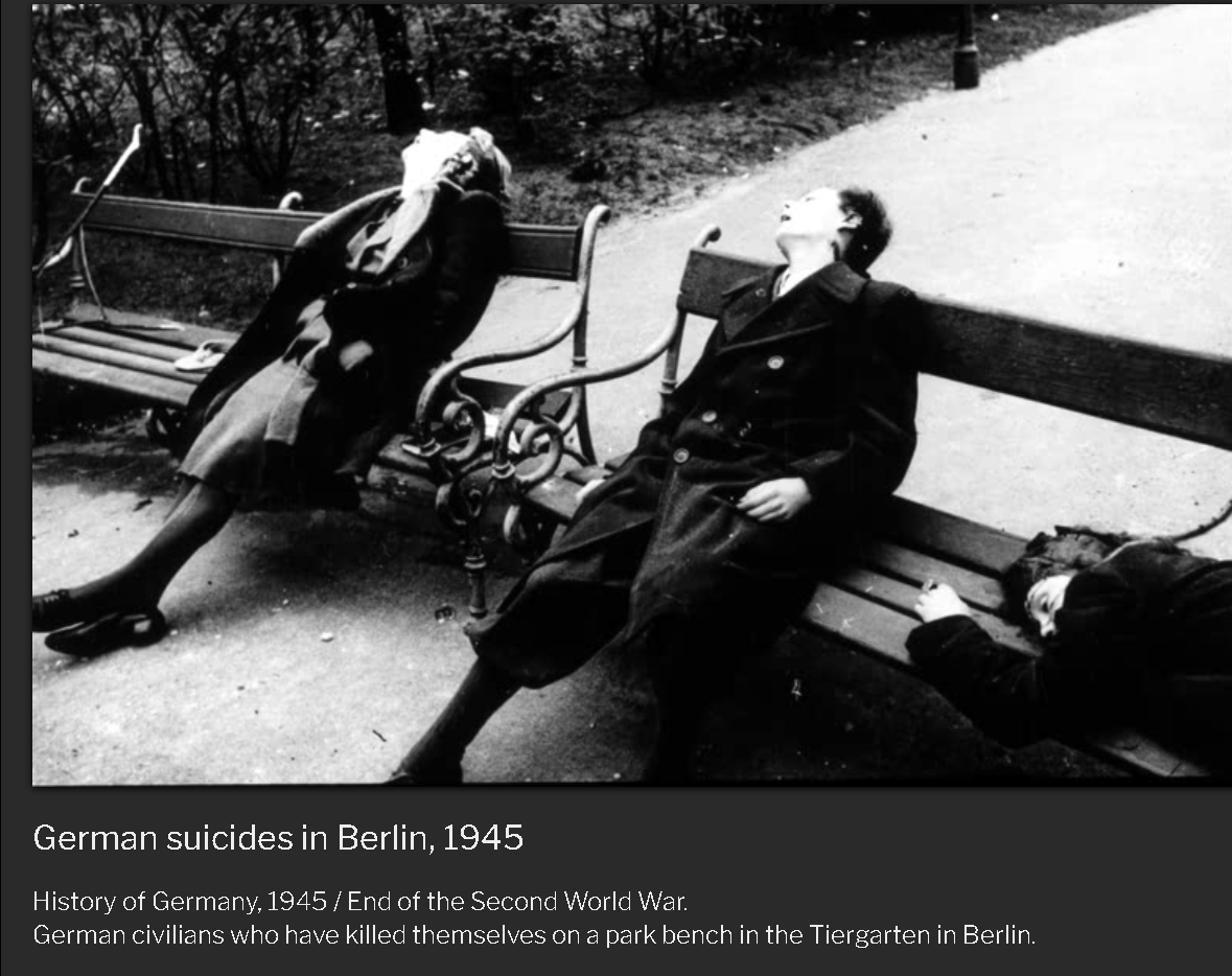 [History] Kematian Pimpinan Nazi (Heinrich Himmler, Hermann G&ouml;ring , Joseph Goebbels)