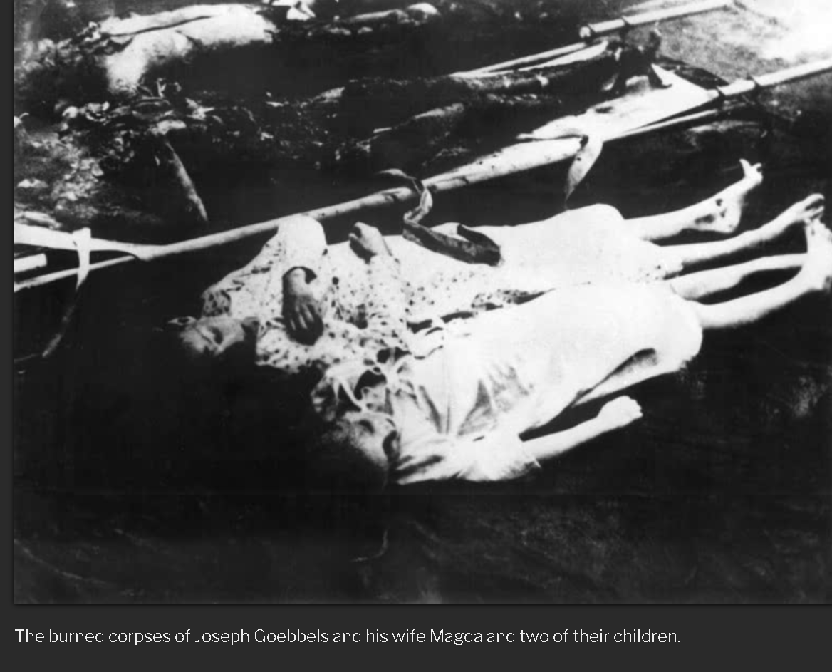[History] Kematian Pimpinan Nazi (Heinrich Himmler, Hermann G&ouml;ring , Joseph Goebbels)