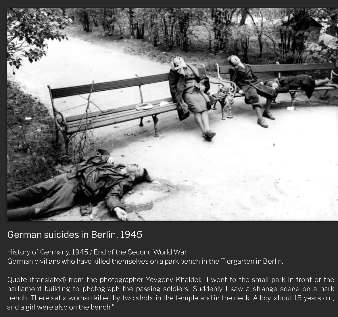 [History] Kematian Pimpinan Nazi (Heinrich Himmler, Hermann G&ouml;ring , Joseph Goebbels)