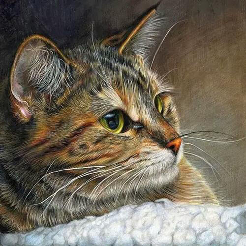 Cat Portrait