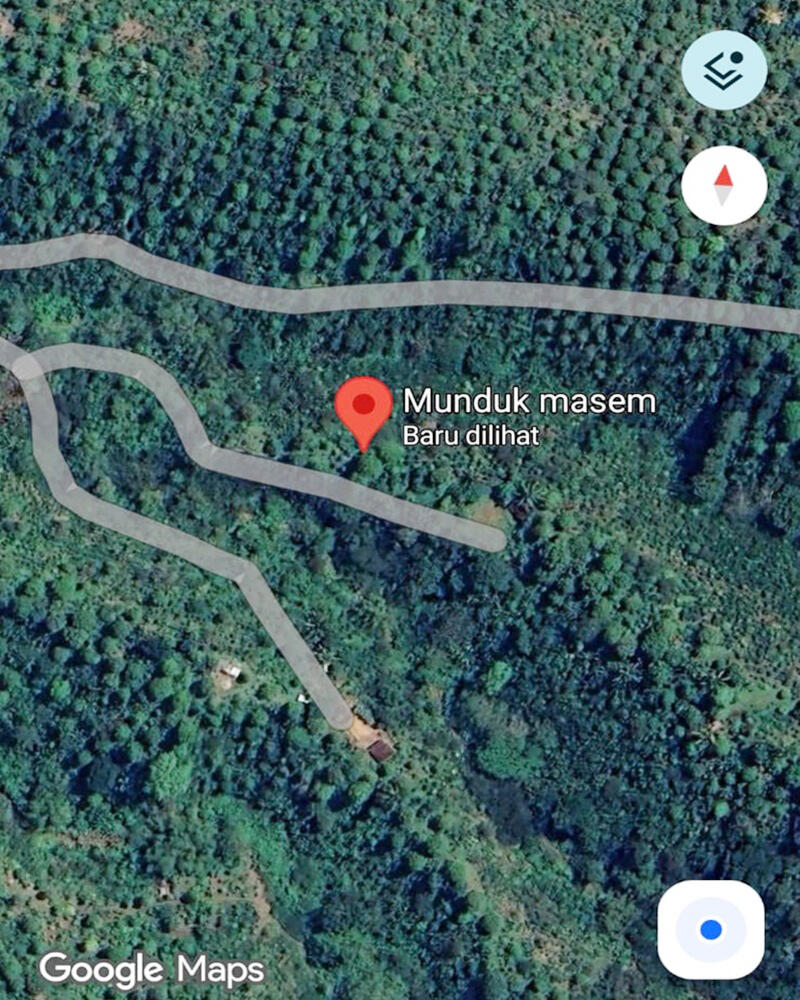 Dijual Cepat Tanah Perkebunan 30.000 m2 di Buleleng Bali Dekat Tempat Wisata