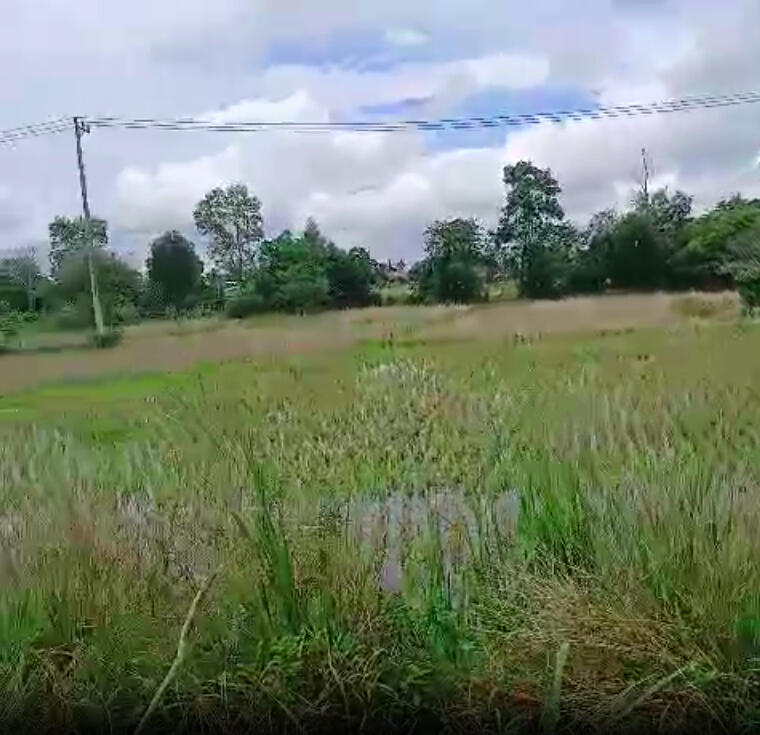 Tanah Dijual di Banjar Kalimantan Selatan Dekat Pasar Sabtu Sungai Tabuk Kota