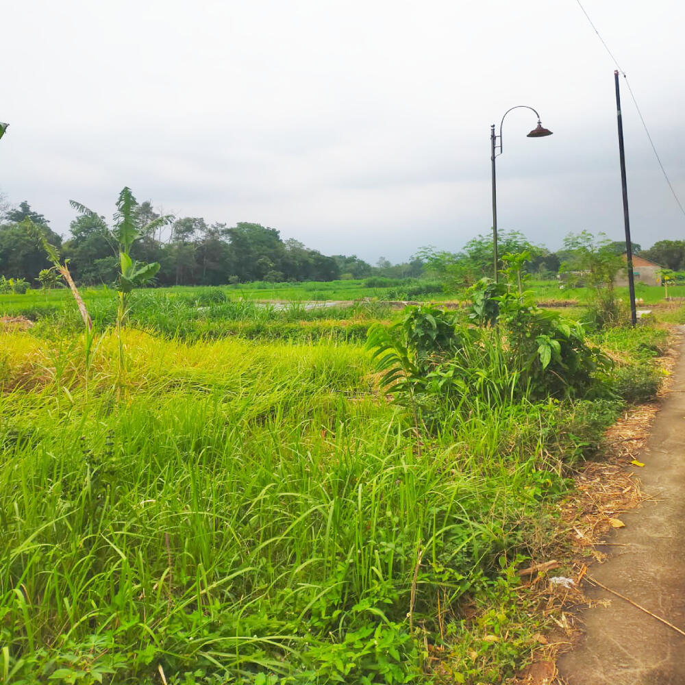 Tanah Dijual di Yogyakarta Dekat UNRIYO, UPN Veteran Yogyakarta, Pakuwon Mall Jogja