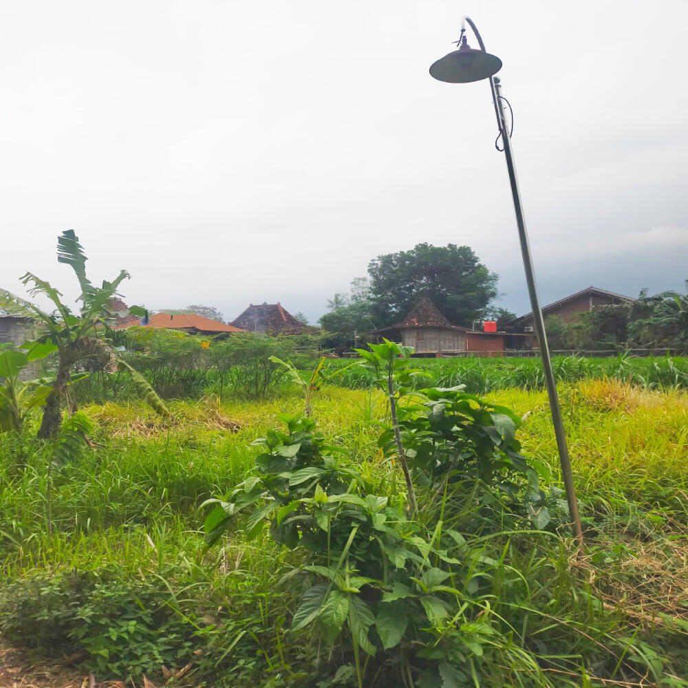 Tanah Dijual di Yogyakarta Dekat UNRIYO, UPN Veteran Yogyakarta, Pakuwon Mall Jogja