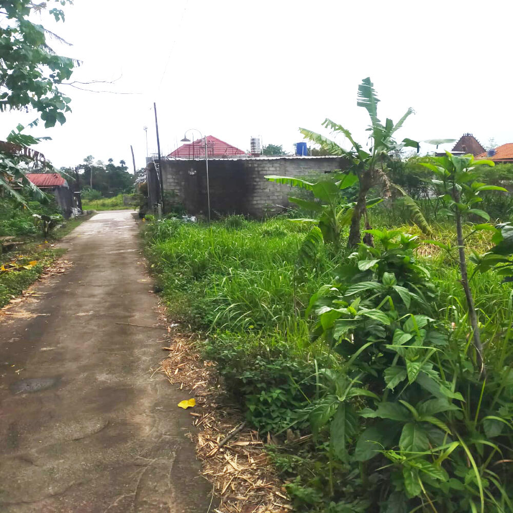 Tanah Dijual di Yogyakarta Dekat UNRIYO, UPN Veteran Yogyakarta, Pakuwon Mall Jogja