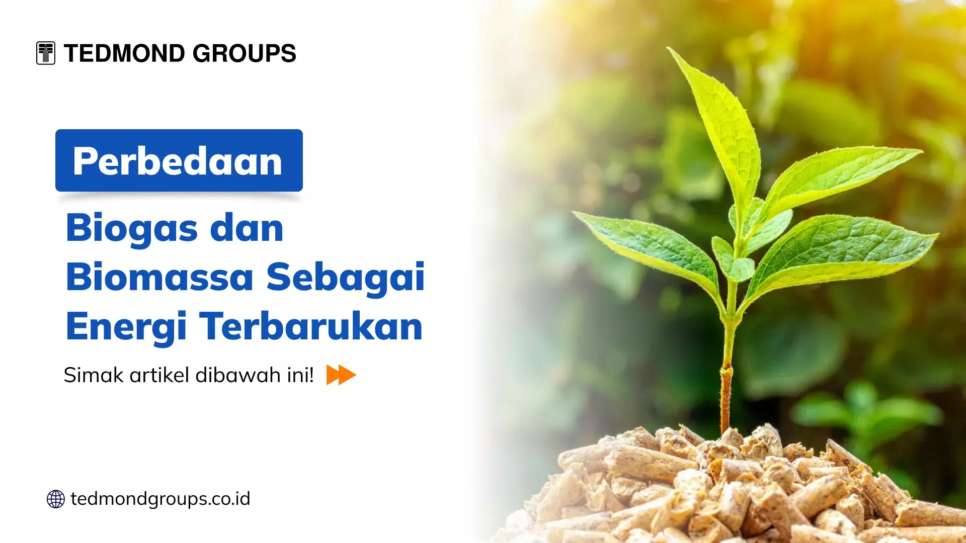 Difference between Biogas and Biomass as Renewable Energy