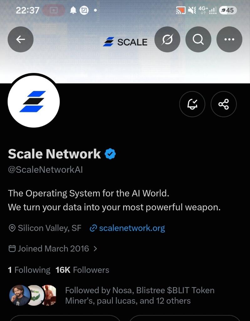 SCALE NETWORK MINING